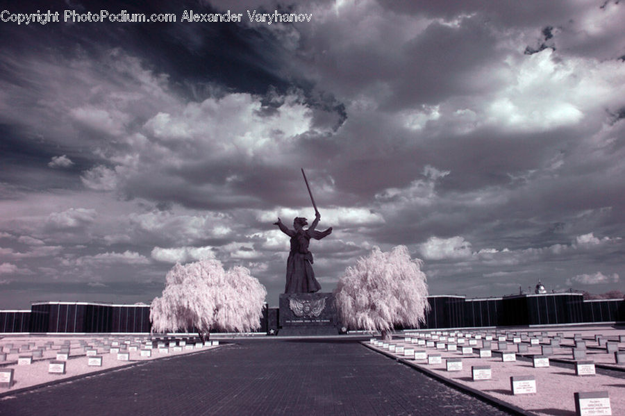Art, Sculpture, Statue, Plant, Tree, Willow, Asphalt