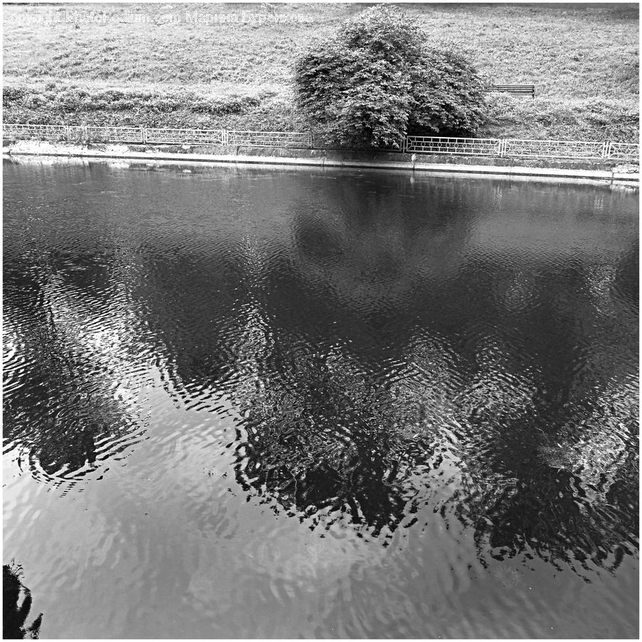 Water, Outdoors, Ripple
