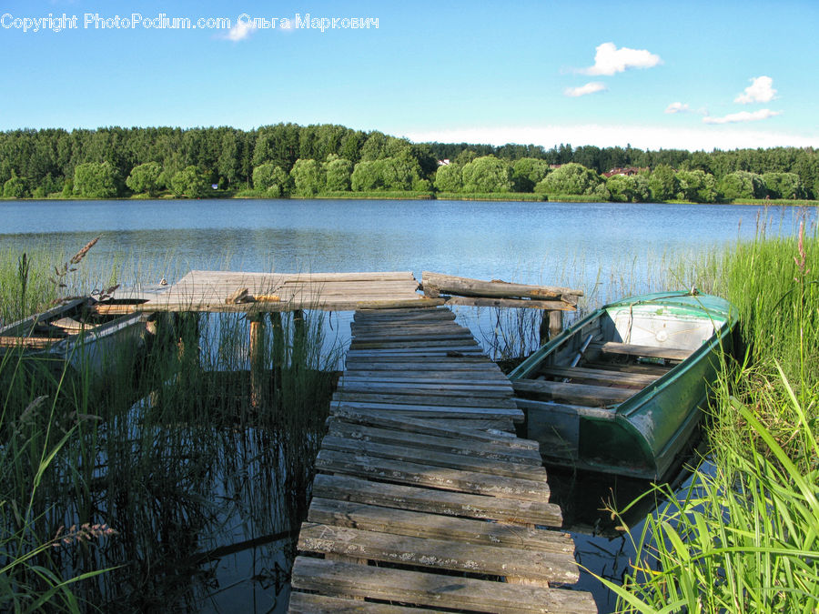 Boat, Rowboat, Vessel, Dinghy, Grass, Plant, Reed