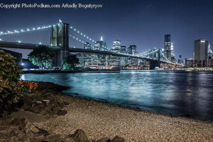 Bridge, City, Downtown, Plant, Tree, Metropolis, Urban
