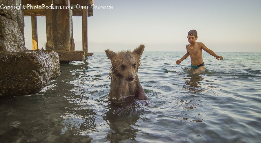 People, Person, Human, Animal, Bear, Mammal, Ruins