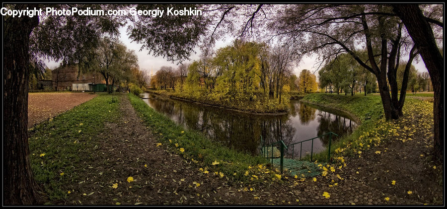 Canal, Outdoors, River, Water, Park, Forest, Grove