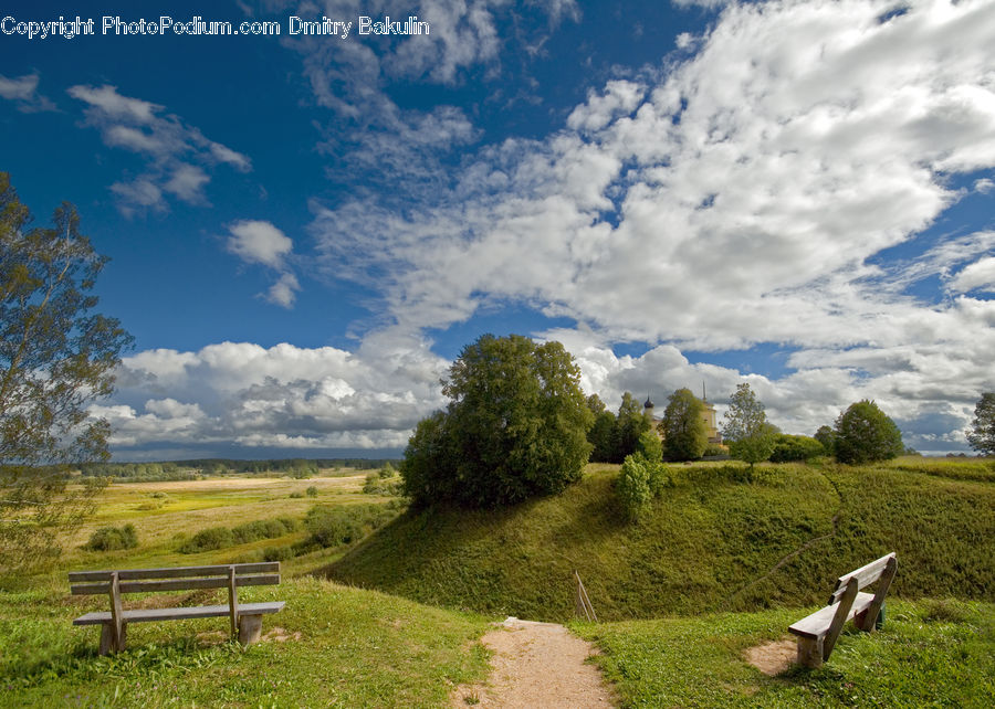 Bench, Dirt Road, Gravel, Road, Field, Grass, Grassland