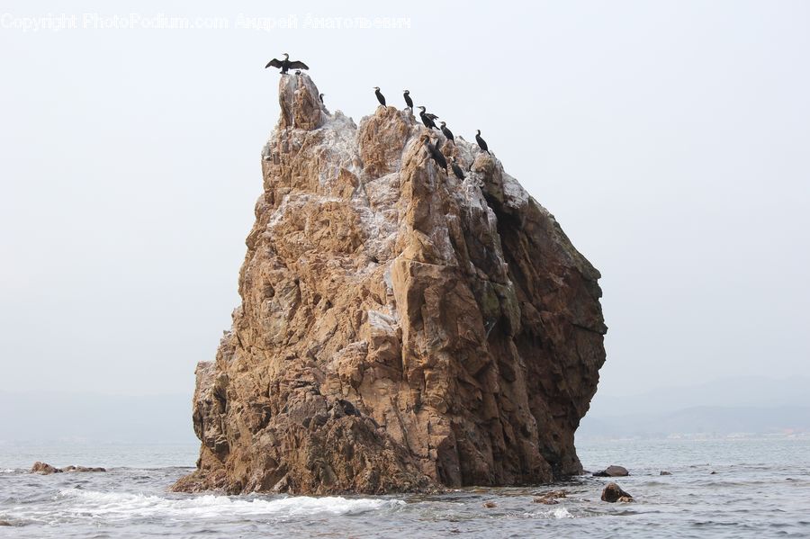 Cliff, Outdoors, Bird, Cormorant, Waterfowl, Promontory, Leisure Activities