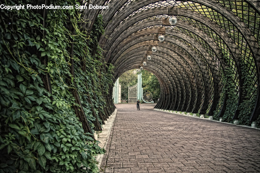 Path, Sidewalk, Walkway, Patio, Pergola, Porch, Road