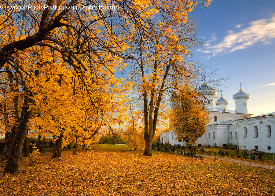 Campus, Building, Housing, Villa, Architecture, Church, Worship