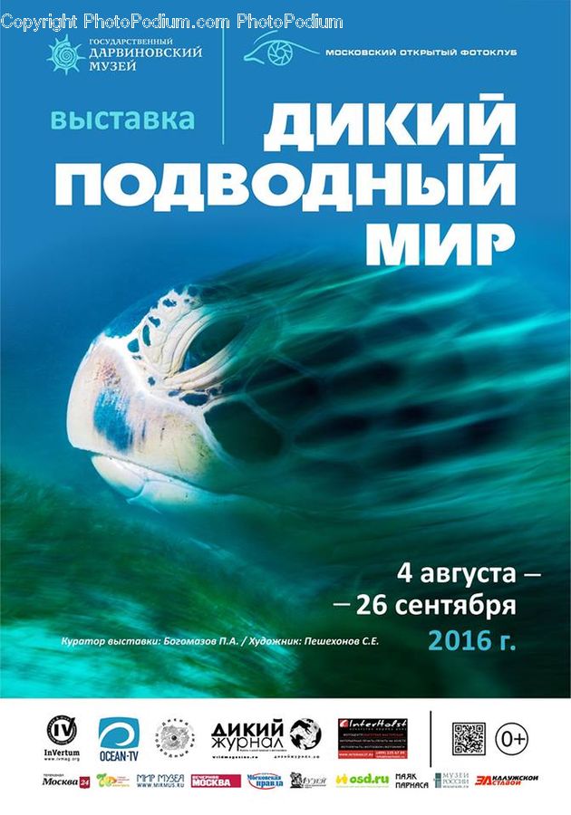 Brochure, Flyer, Poster