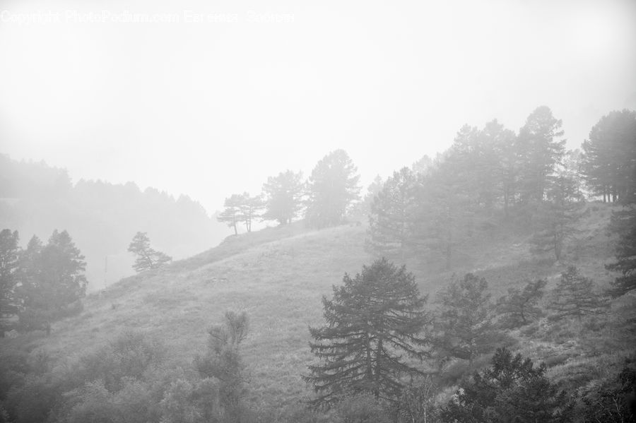 Alps, Crest, Mountain, Peak, Forest, Vegetation, Jungle