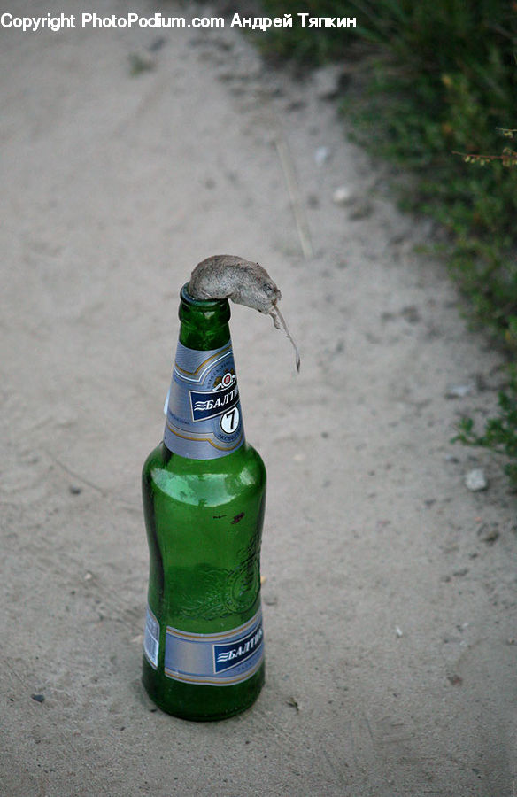 Alcohol, Beer, Beer Bottle, Beverage, Bottle, Drink, Jug
