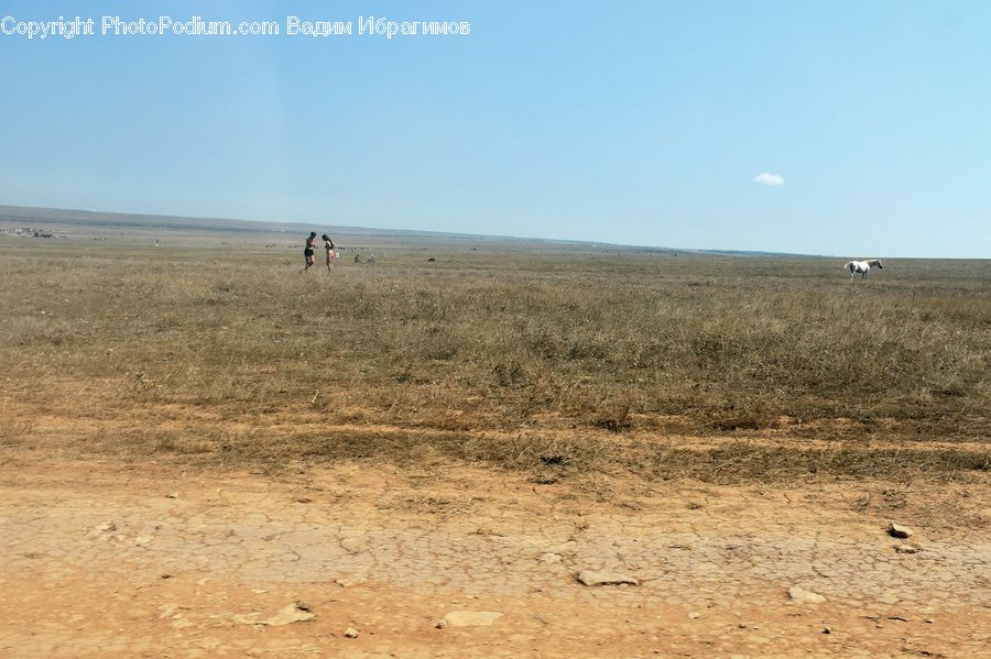 Desert, Outdoors, Soil, Field, Grass, Grassland, Land