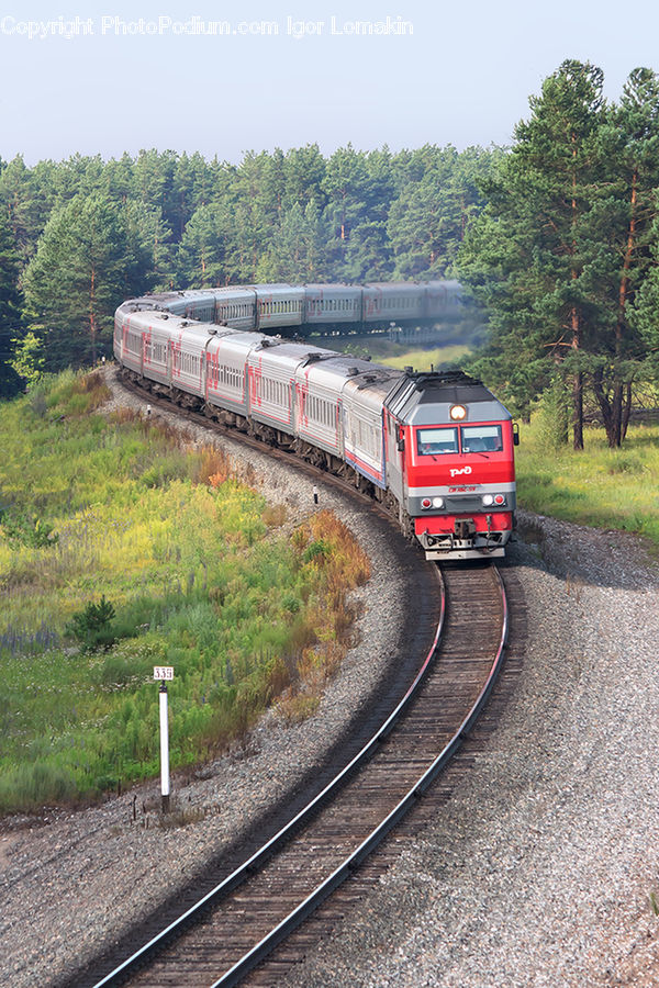 Train, Vehicle, Freight Car, Shipping Container, Engine, Machine, Motor