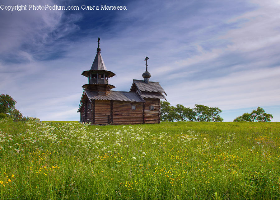 Field, Grass, Grassland, Land, Outdoors, Plant, Architecture