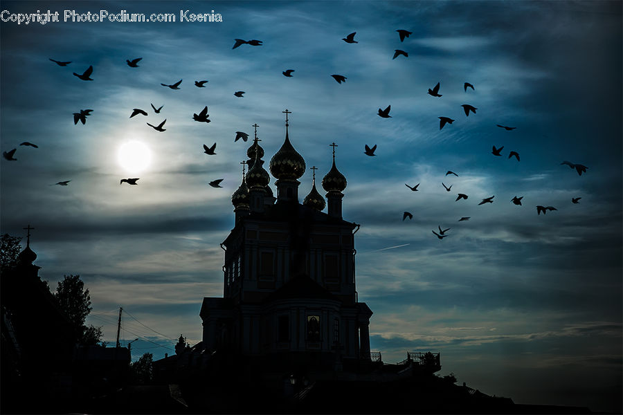 Architecture, Bell Tower, Clock Tower, Tower, Cathedral, Church, Worship