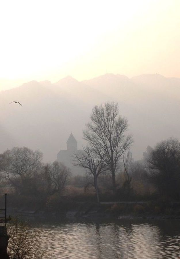 Countryside, Outdoors, Plant, Tree, River, Water