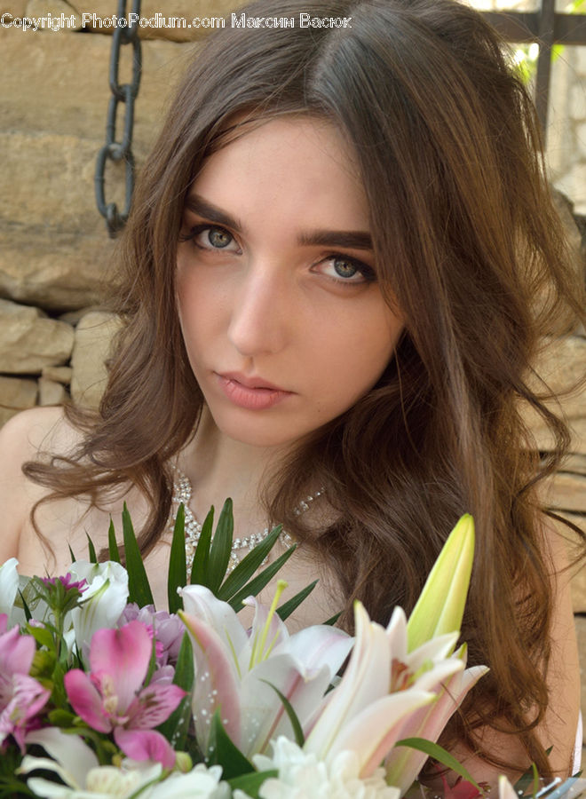 Human, People, Person, Flower, Flower Arrangement, Flower Bouquet, Blossom