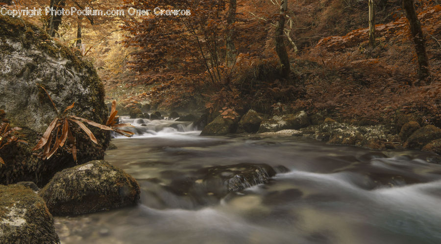 Creek, Outdoors, River, Water, Rock, Landscape, Nature