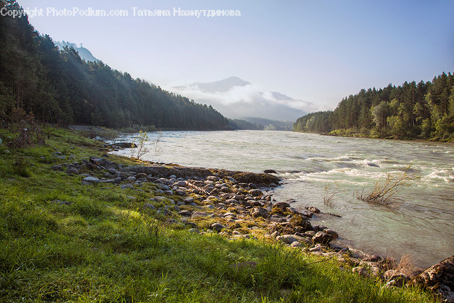 Creek, Outdoors, River, Water, Nature, Coast, Sea
