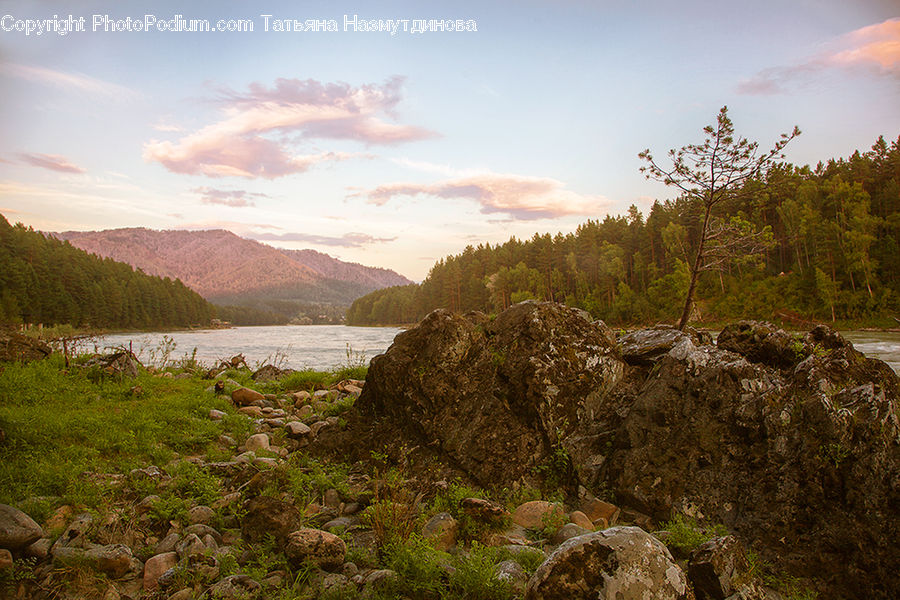Rock, Moss, Plant, Cliff, Outdoors, Crest, Mountain