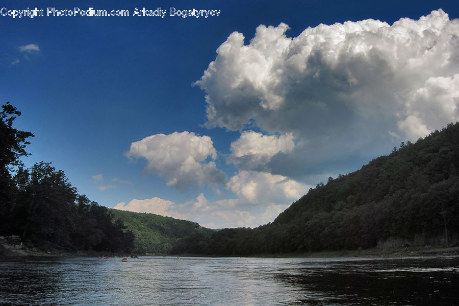 Cloud, Cumulus, Sky, Forest, Jungle, Rainforest, Vegetation