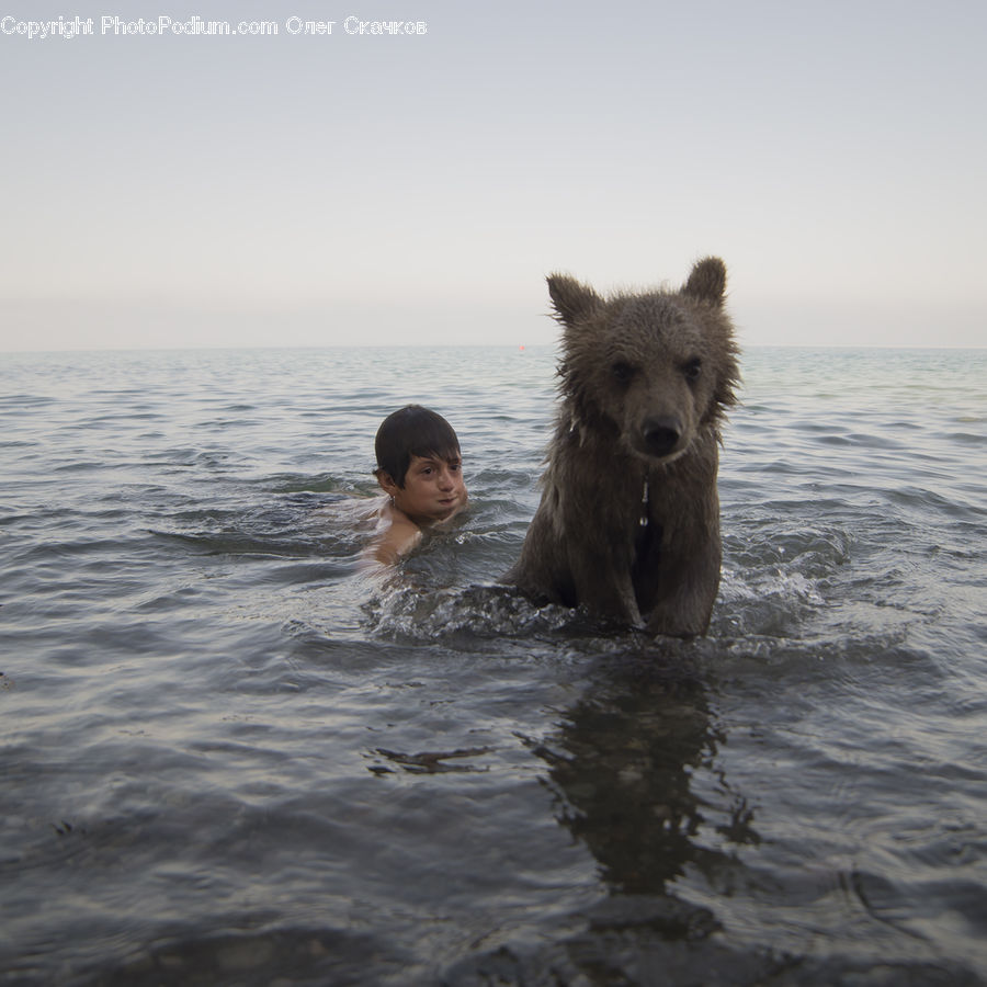 People, Person, Human, Sport, Swimming, Water, Animal