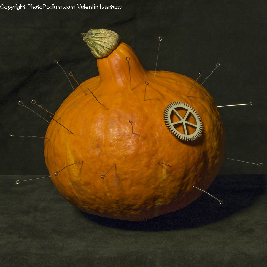 Gourd, Produce, Vegetable, Accessories