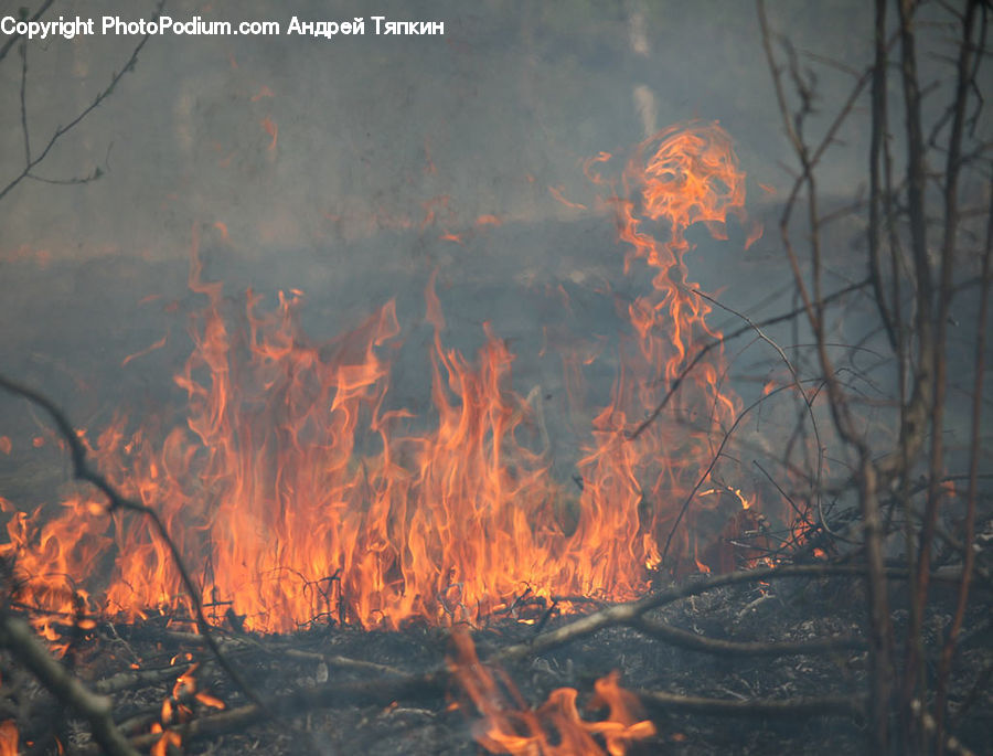 Forest Fire, Fire, Flame, Bonfire, Campfire, Camping, Art