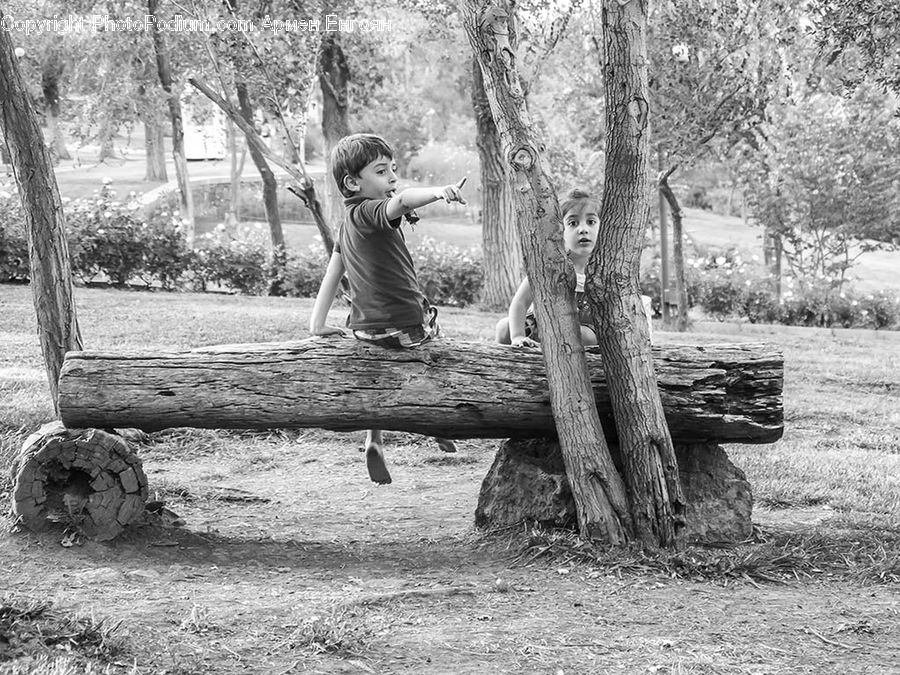 People, Person, Human, Driftwood, Wood, Rock, Outdoors