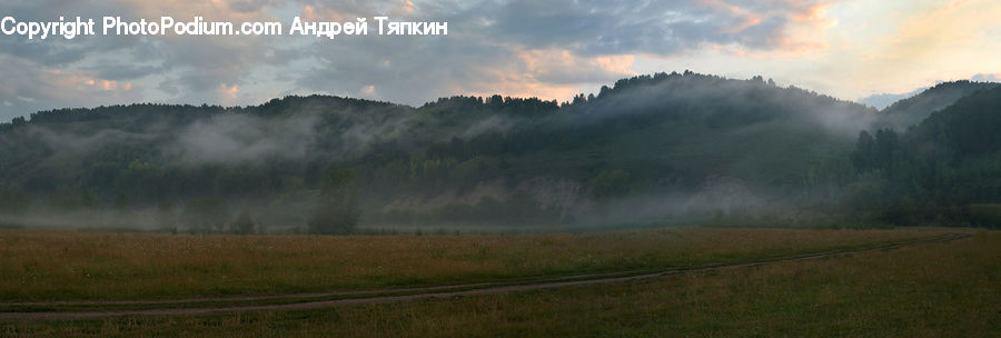 Field, Grass, Grassland, Land, Outdoors, Dawn, Dusk
