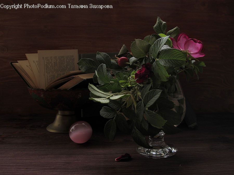 Plant, Potted Plant, Floral Design, Flower, Flower Arrangement, Flower Bouquet, Ikebana