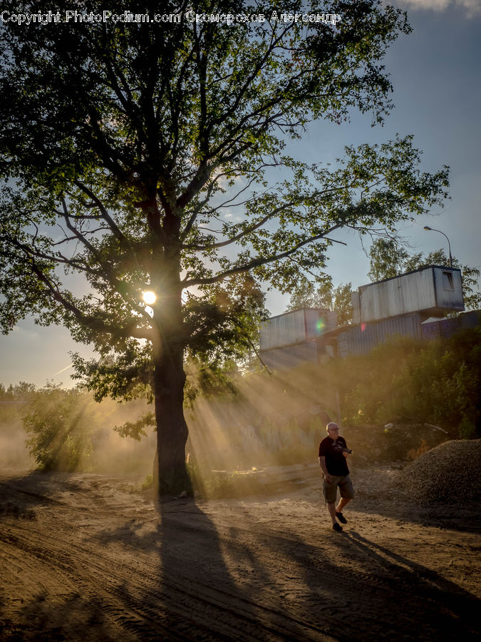 Dirt Road, Gravel, Road, Exercise, Fitness, Jogging