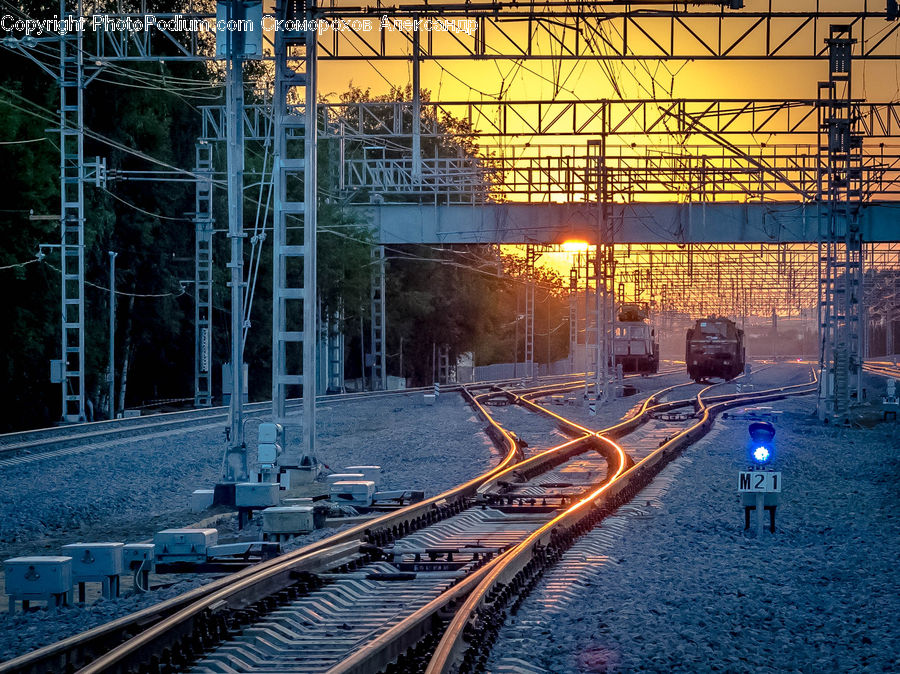 Train, Vehicle, Freight Car, Shipping Container, Factory, Dock, Landing