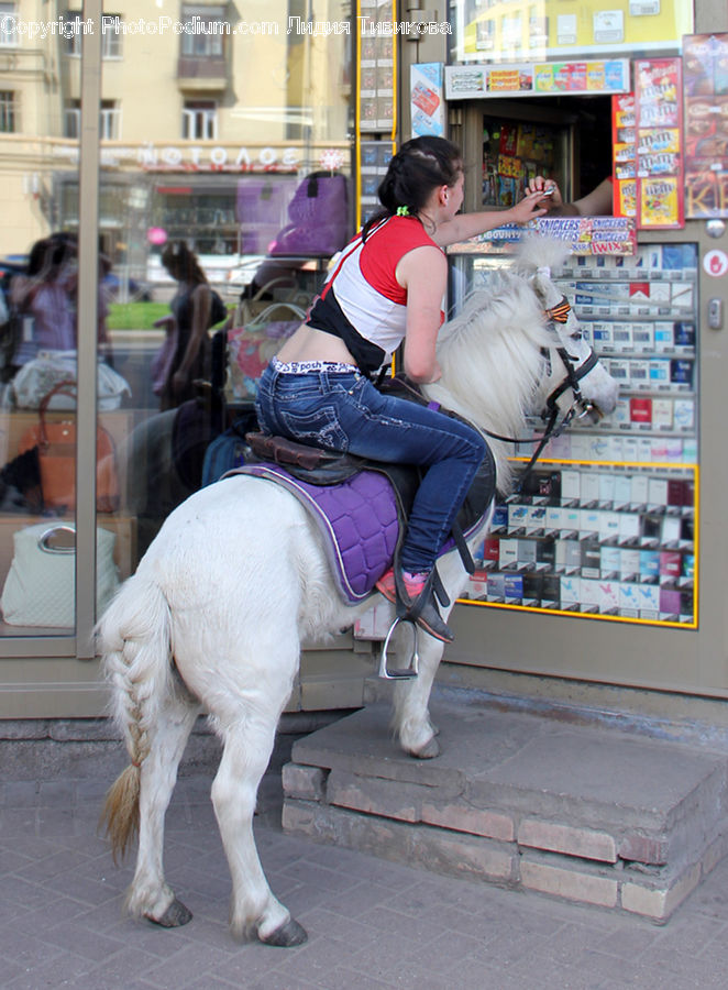 People, Person, Human, Animal, Equestrian, Horse, Shop