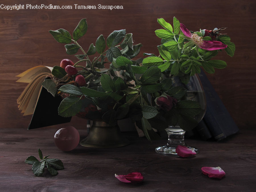 Plant, Potted Plant, Floral Design, Flower, Flower Arrangement, Flower Bouquet, Ikebana