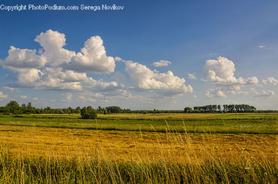Cloud, Cumulus, Sky, Field, Grass, Grassland, Land
