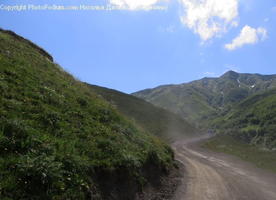 Dirt Road, Gravel, Road, Bush, Plant, Vegetation, Forest