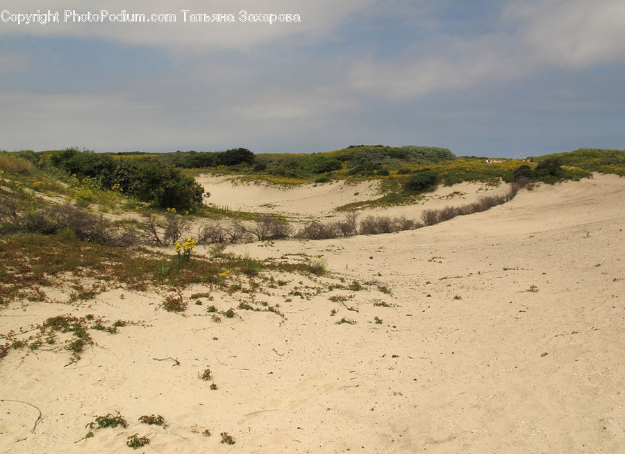Dune, Outdoors, Beach, Coast, Sea, Water, Sand