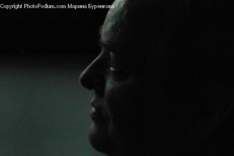 Head, Portrait, Face, Person