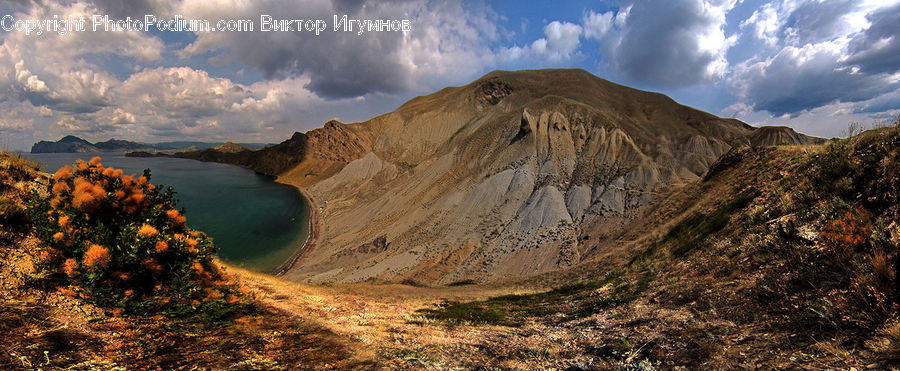 Crater, Bush, Plant, Vegetation, Coast, Outdoors, Sea