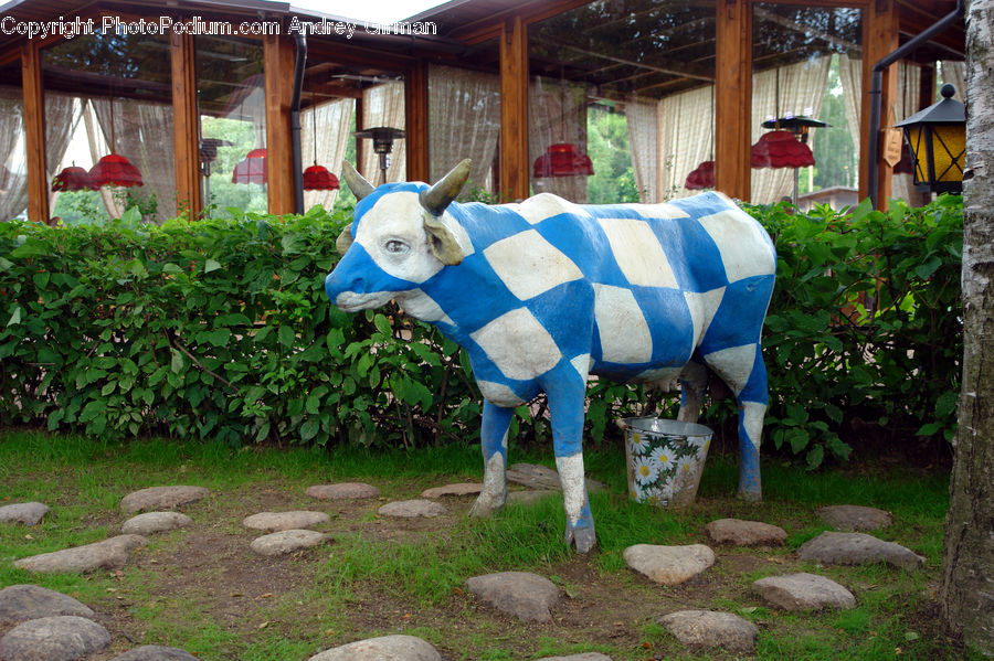 Animal, Cattle, Cow, Dairy Cow, Mammal, Backyard, Yard