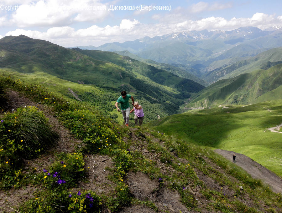 Crest, Mountain, Outdoors, Peak, Blossom, Crocus, Flora