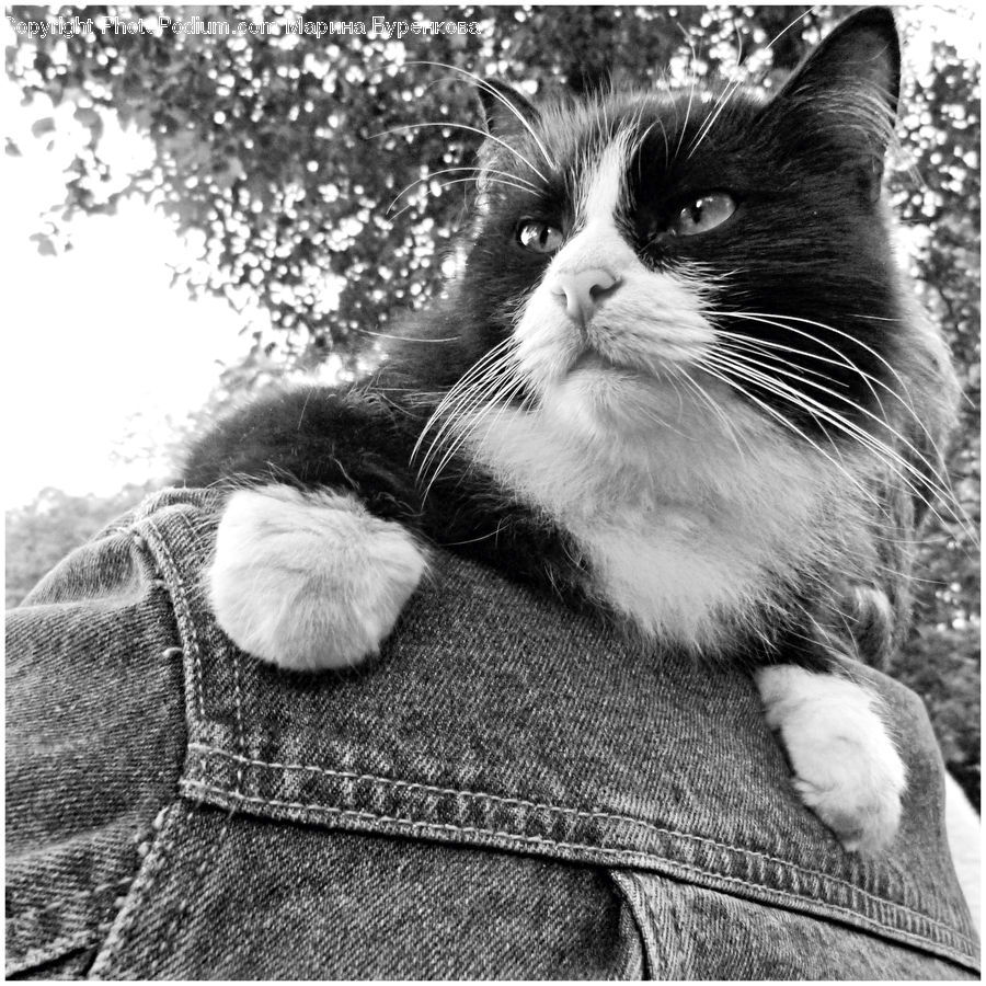 Animal, Person, Portrait, Selfie