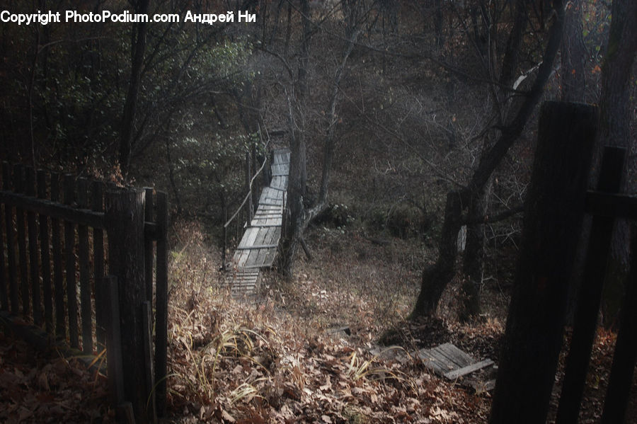 Bridge, Rope Bridge, Suspension Bridge, Boardwalk, Deck, Path, Sidewalk