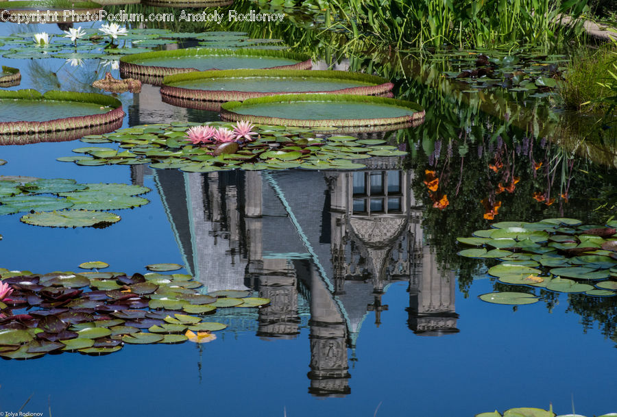 Outdoors, Pond, Water, Architecture, Castle, Fort, Cathedral