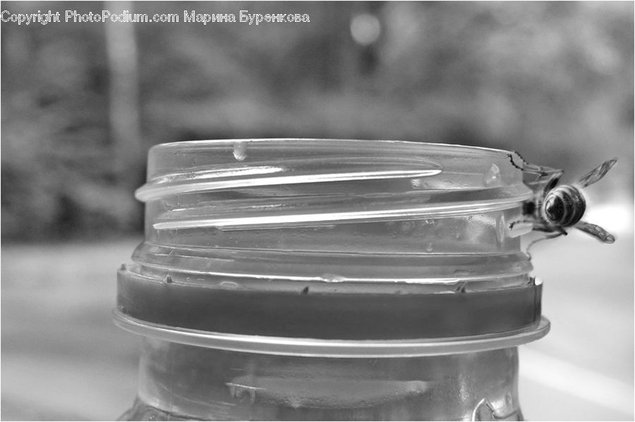 Jar, Dish, Food, Plate