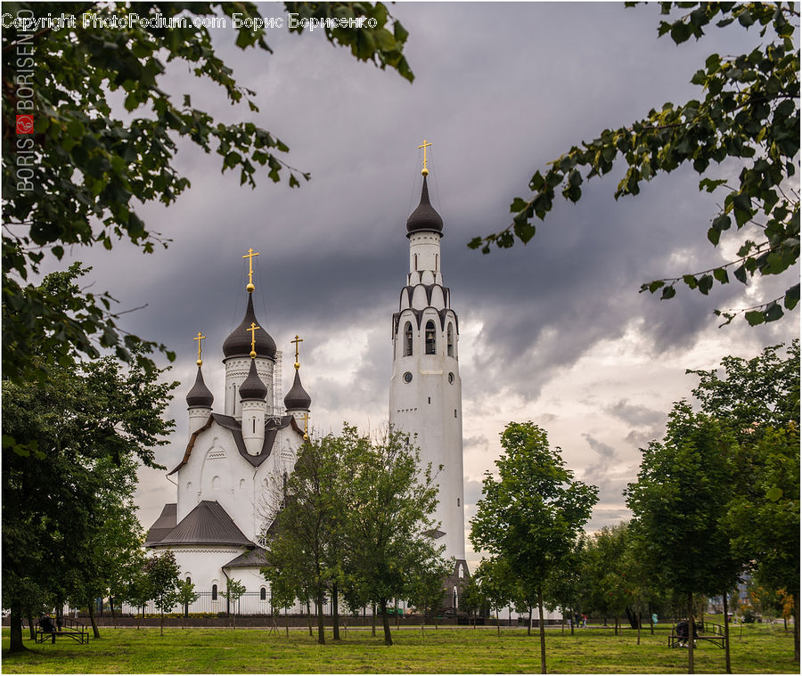 Architecture, Bell Tower, Clock Tower, Tower, Plant, Tree, Church