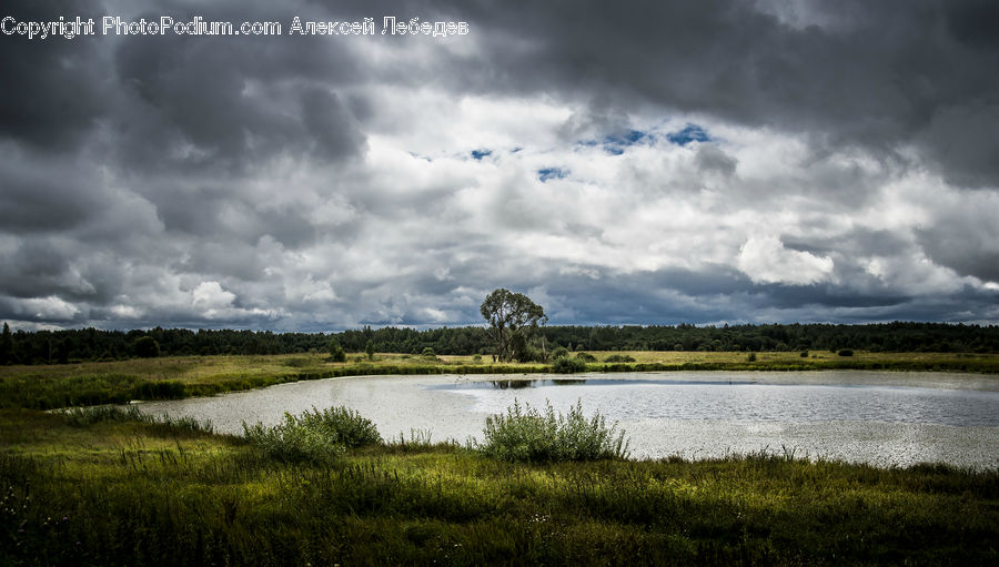 Cloud, Cumulus, Sky, Azure Sky, Outdoors, Field, Grass