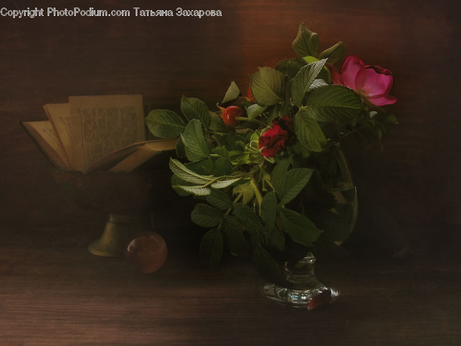 Herbs, Mint, Plant, Floral Design, Flower, Flower Arrangement, Flower Bouquet