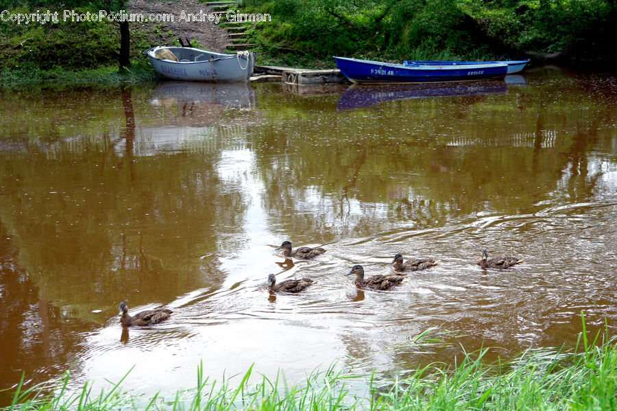 Boat, Rowboat, Vessel, Watercraft, Canoe, Outdoors, River