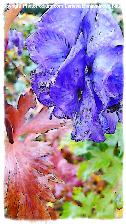 Flora, Flower, Gladiolus, Plant, Blossom, Geranium, Art