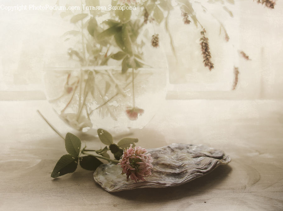 Flower Arrangement, Ikebana, Plant, Potted Plant, Vase, Garlic, Blossom